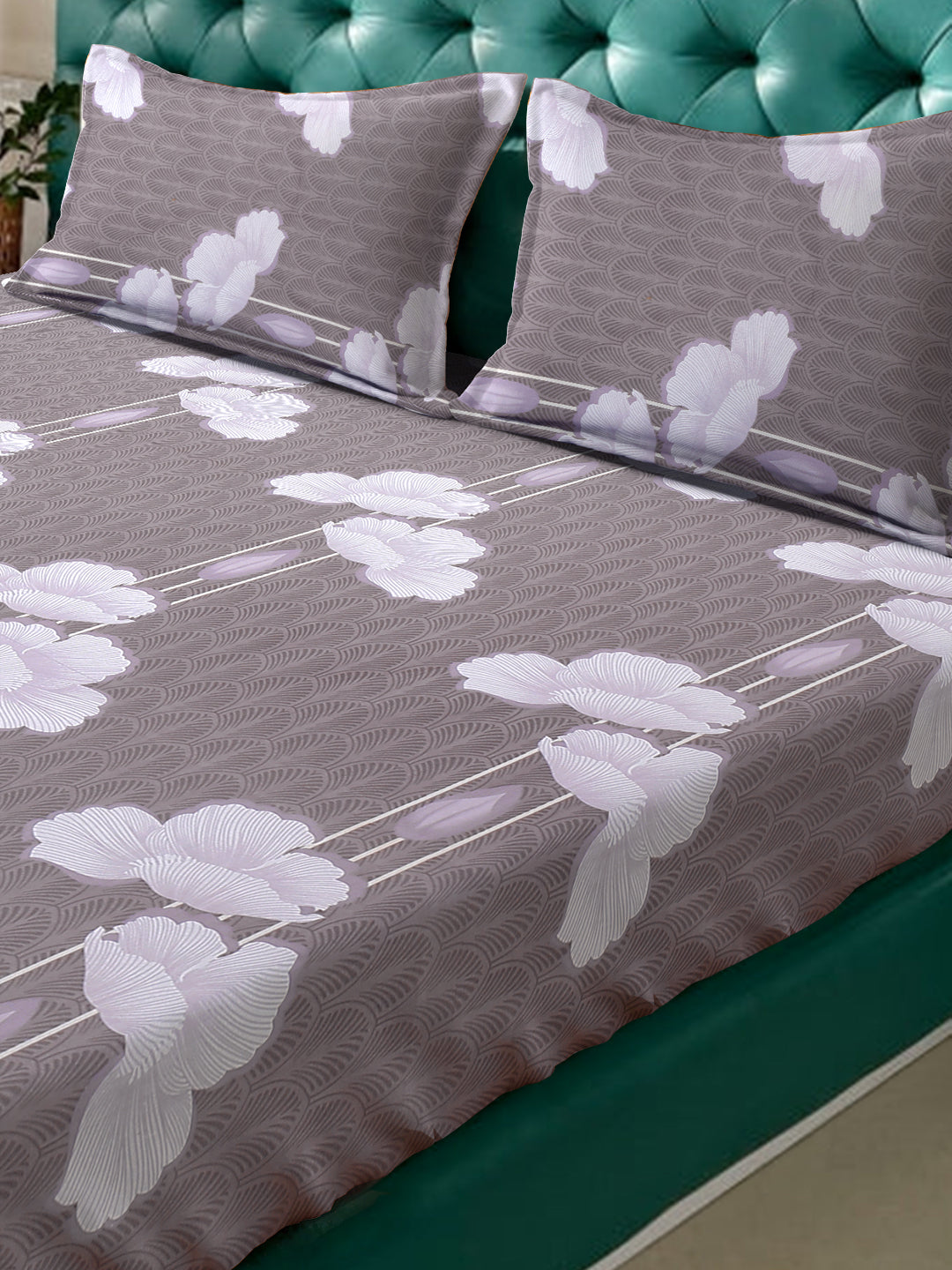 Klotthe LightBrown Floral 400 TC Pure Cotton Fitted Double Bedsheet with 2 Pillow Covers